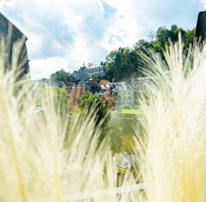Le Comble Amoureux La-Roche-en-Ardenne Buitenkant foto